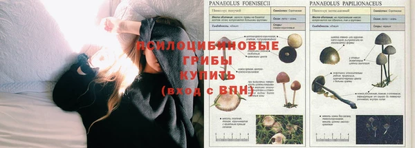меф VHQ Алзамай