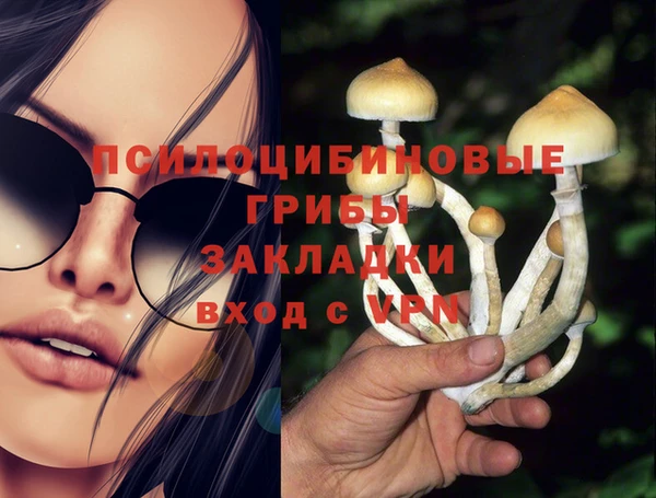прущие грибы Алексин