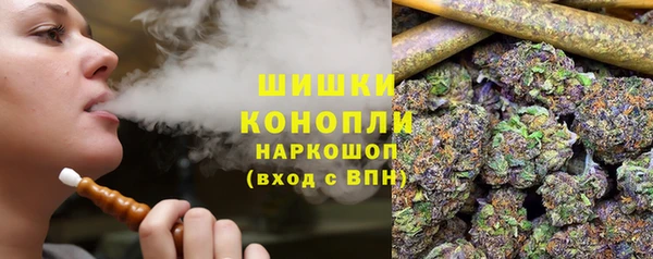 соль ск Семилуки